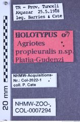 Etiketten zu Agriotes propleuralis (Platia & Gudenzi, 1998) (NHMW-ZOO-COL-0007294)